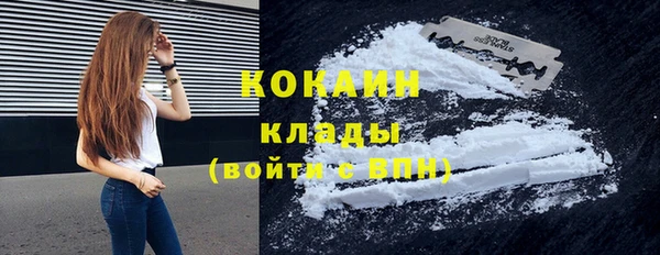 бошки Белокуриха
