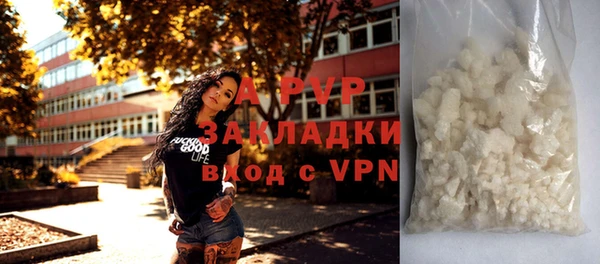 бошки Белокуриха